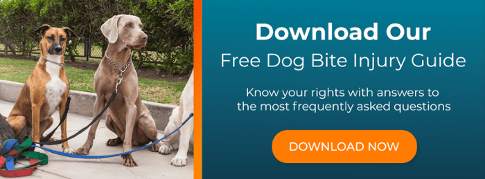 Free dog bite injury guide