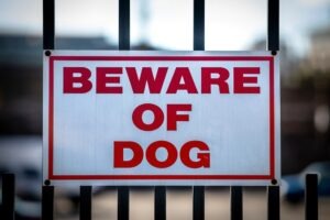 Puede acudir a un abogado de mordeduras de perro en Denver, CO, para obtener ayuda con sus necesidades legales.